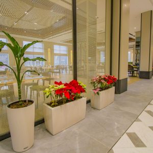 Ресторан Бон Аппетит в санатории Источник в городе Железноводске - фотография