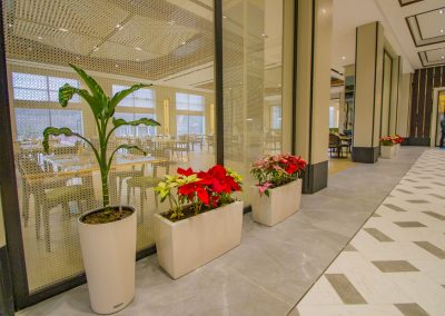 Ресторан Бон Аппетит в санатории Источник в городе Железноводске - фотография